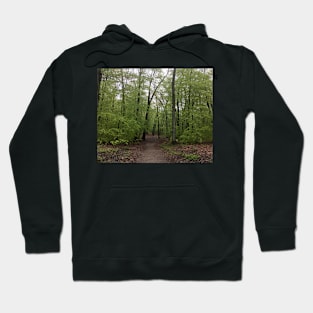 In The Spring Forest Hoodie